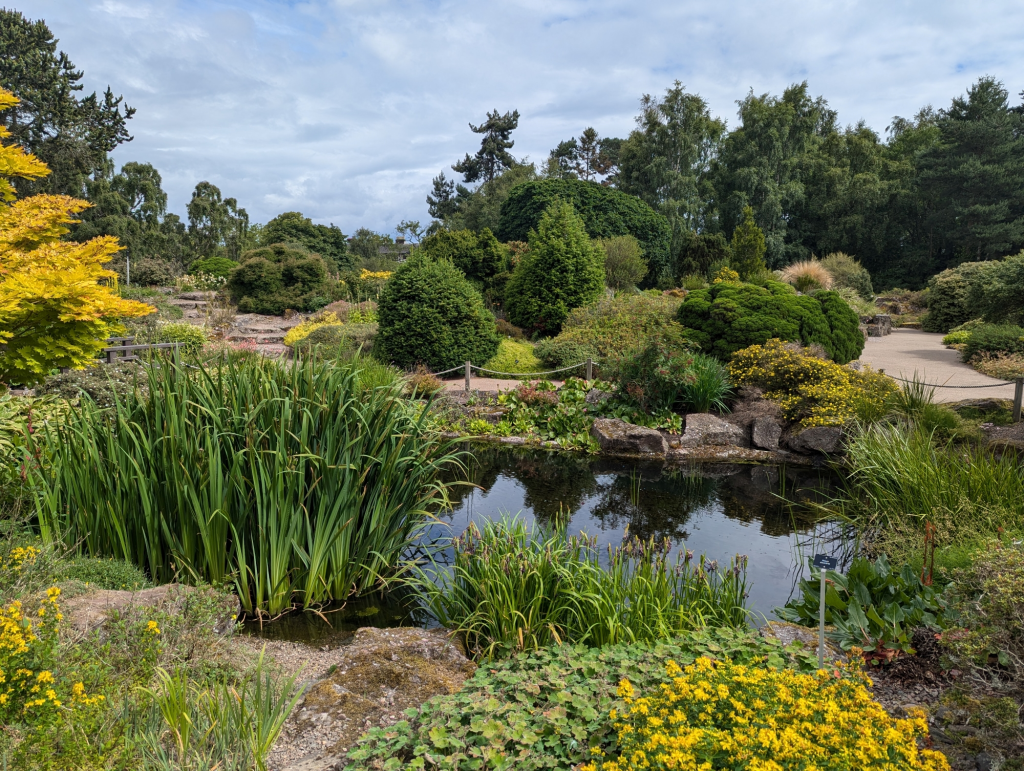 Royal-Botanic-Garden-Edinburgh-31