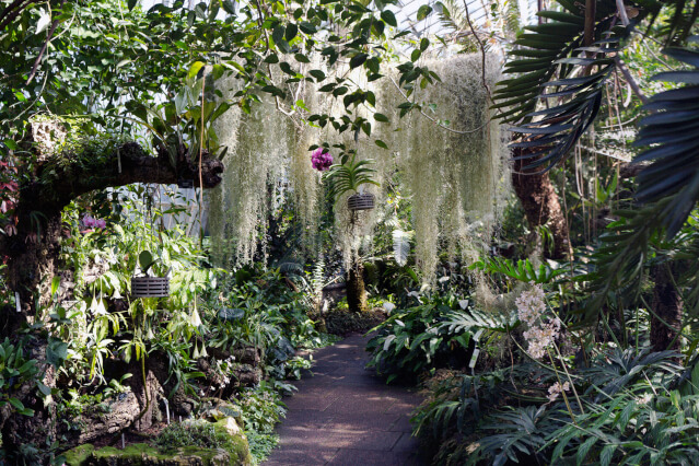 Royal-Botanic-Garden-Edinburgh-Pathway